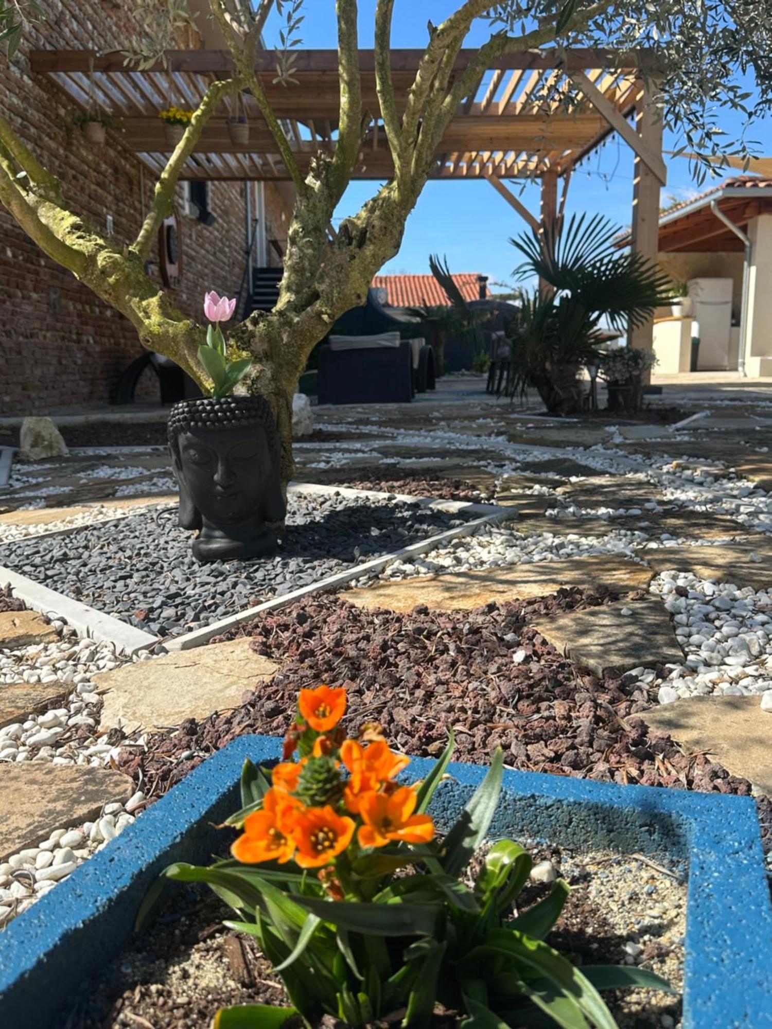 Chambres D'Hotes Doux Brazil Lisle-sur-Tarn 외부 사진